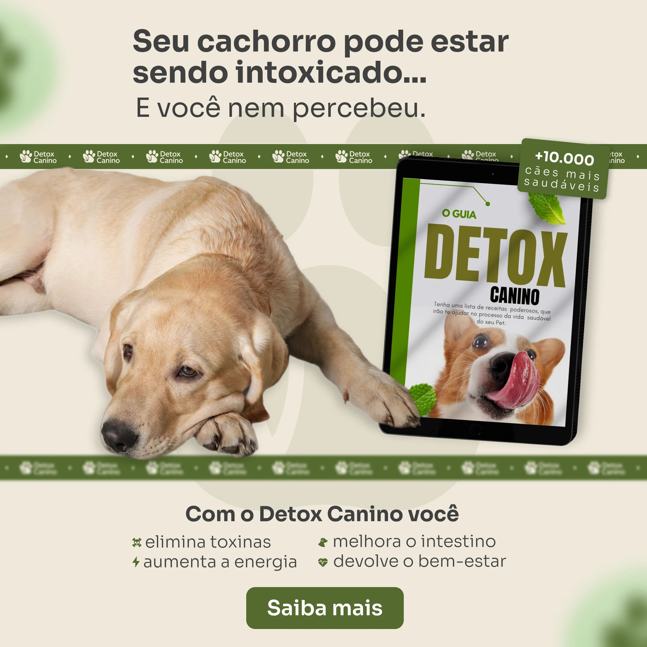 criativo_detox_formato_feed
